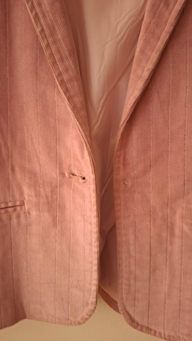 Pembe Kadife Kadın Blazer Ceket - Görsel 3