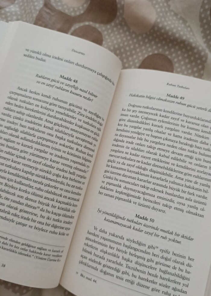 Descartes - Ruhun Tutkuları - Görsel 4