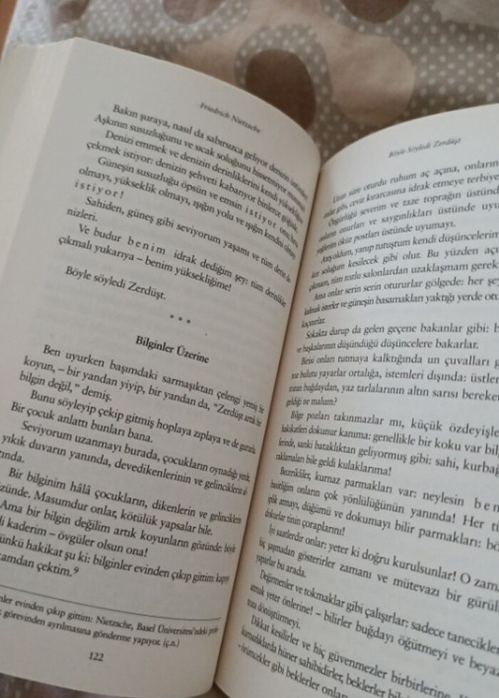 Friedrich Nietzsche - Böyle Söyledi Zerdüşt  - Görsel 3