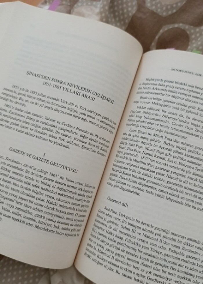 Ahmet Hamdi Tanpınar - On Dokuzuncu  Asır Türk Edebiyatı Tarihi - Görsel 3