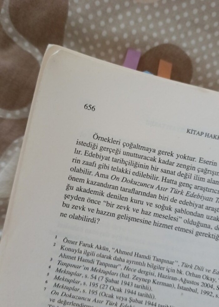 Ahmet Hamdi Tanpınar - On Dokuzuncu  Asır Türk Edebiyatı Tarihi - Görsel 4