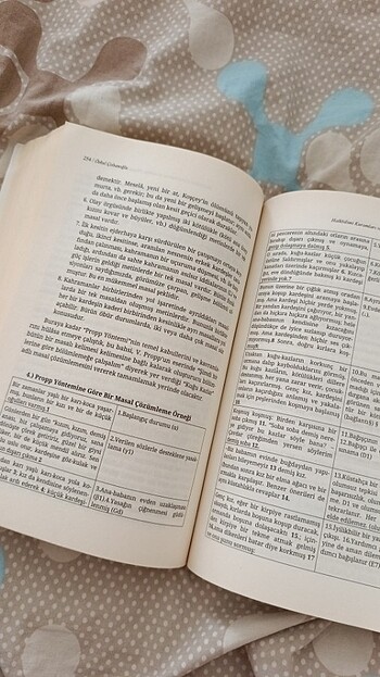 Prof. Dr. Özkul Çobanoğlu- Halkbilimi Kuramları ve Araştırma Yön - Görsel 3