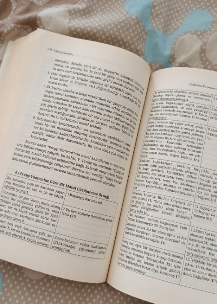 Prof. Dr. Özkul Çobanoğlu- Halkbilimi Kuramları ve Araştırma Yön - Görsel 3