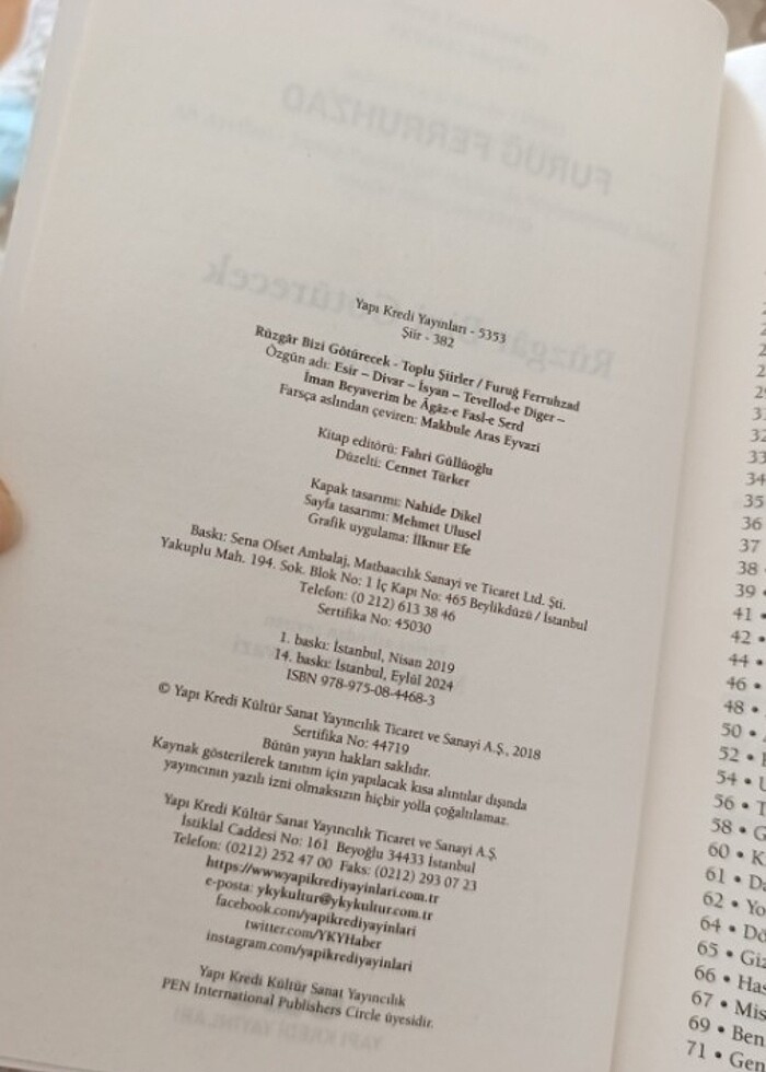 Furuğ Ferruhzad - Rüzgâr Bizi Götürecek  - Görsel 2