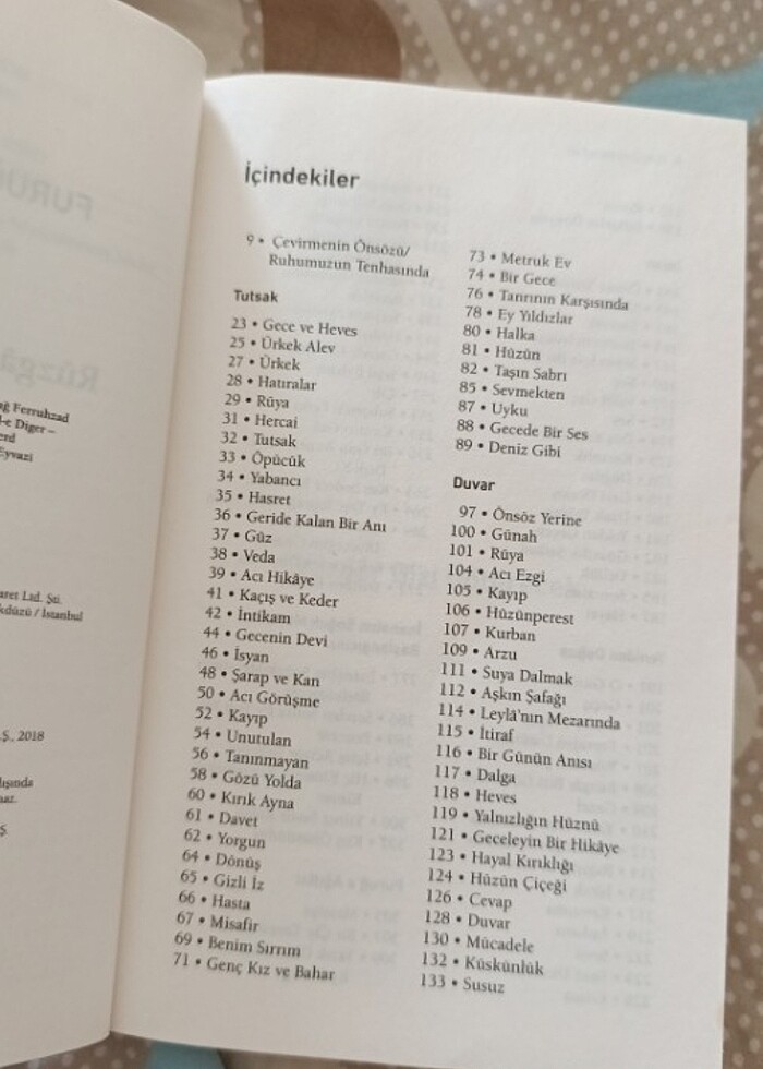 Furuğ Ferruhzad - Rüzgâr Bizi Götürecek  - Görsel 3