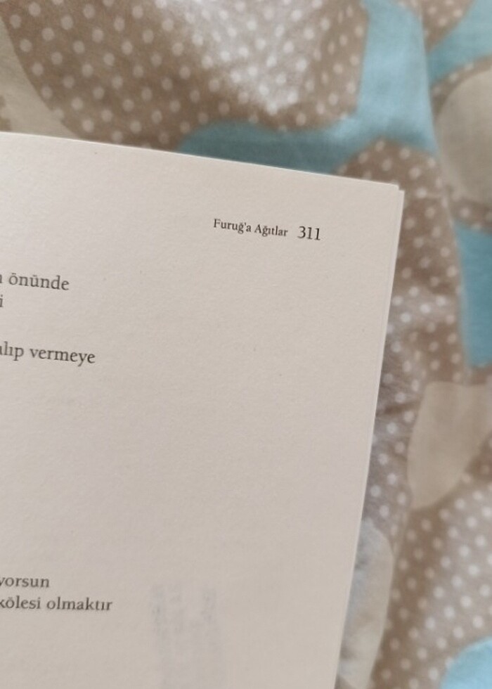 Furuğ Ferruhzad - Rüzgâr Bizi Götürecek  - Görsel 5