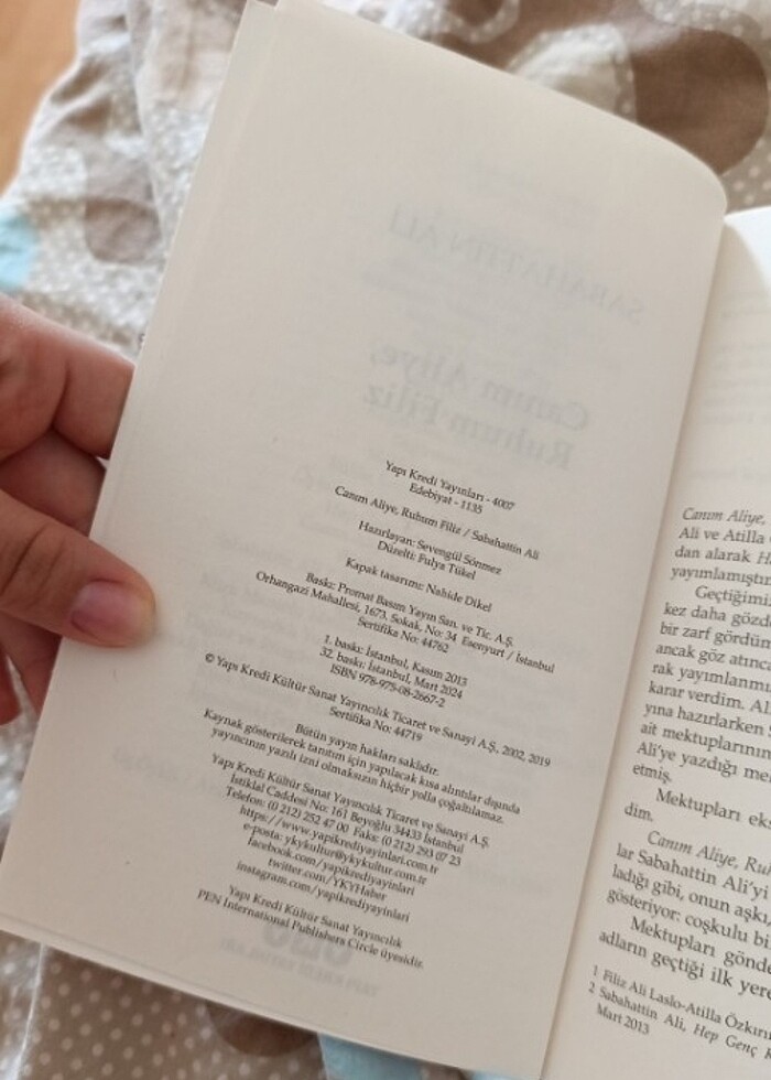 Sabahattin Ali - Canım Aliye Ruhum Filiz - Görsel 2