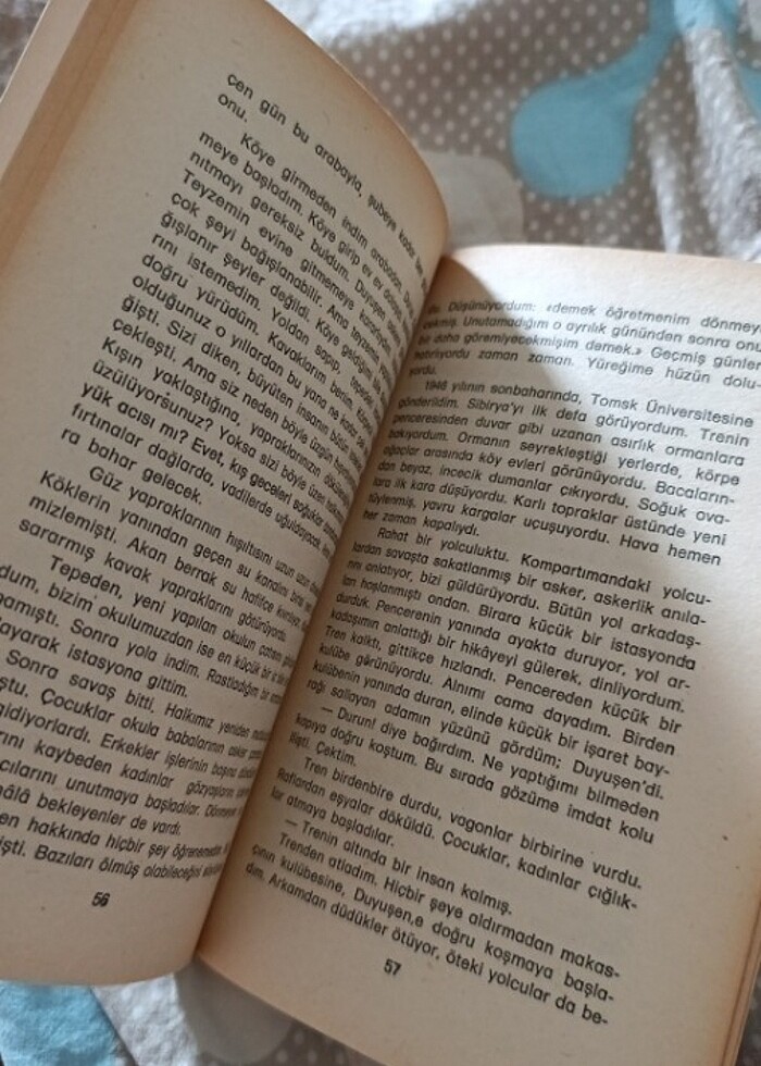 Cengiz Aytmatov - İlk Öğretmen - Görsel 3