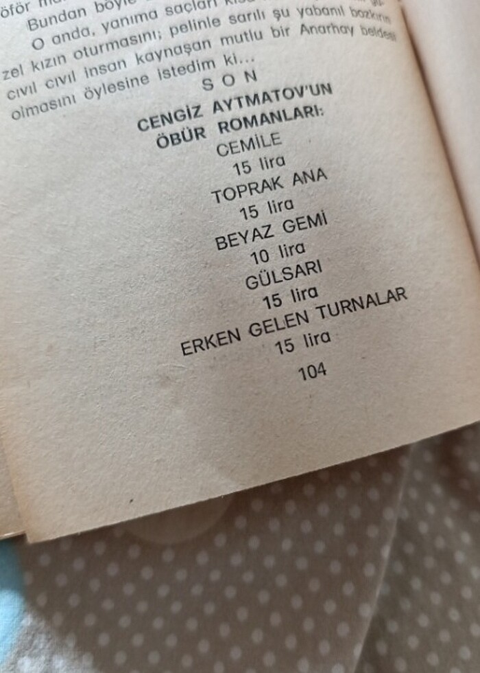 Cengiz Aytmatov - İlk Öğretmen - Görsel 4