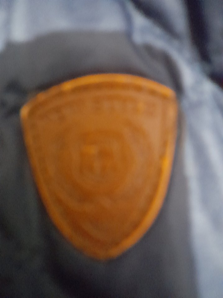 Kapüşonlu Fermuarlı 5 ,6  yaş Erkek Çocuk Mont - Görsel 5