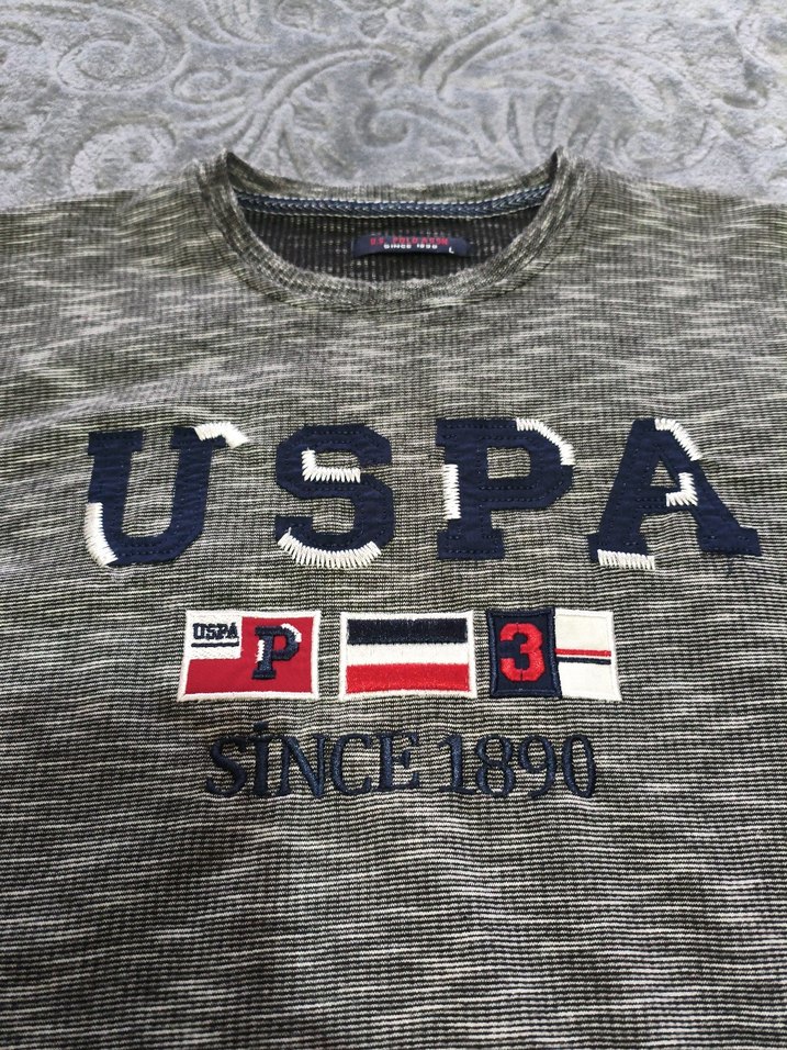 Gri Erkek USPA Sweatshirt - Görsel 3