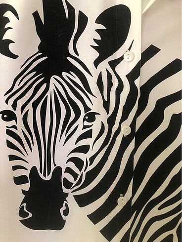 s Beden Quzu zebra gömlek