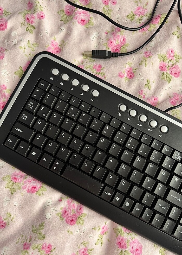 F klavye - Görsel 4