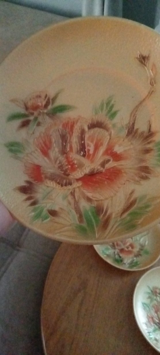 Bej Renkli Çiçek Desenli Yemek Tabağı Seti - Görsel 3