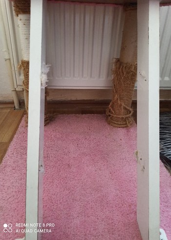 kedi kulubesi - Görsel 2