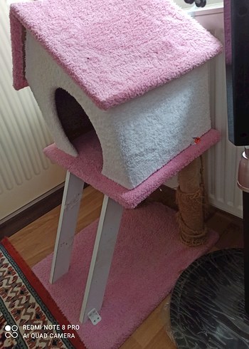 kedi kulubesi - Görsel 3