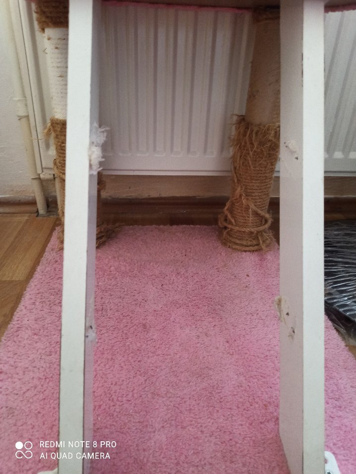 kedi kulubesi - Görsel 2