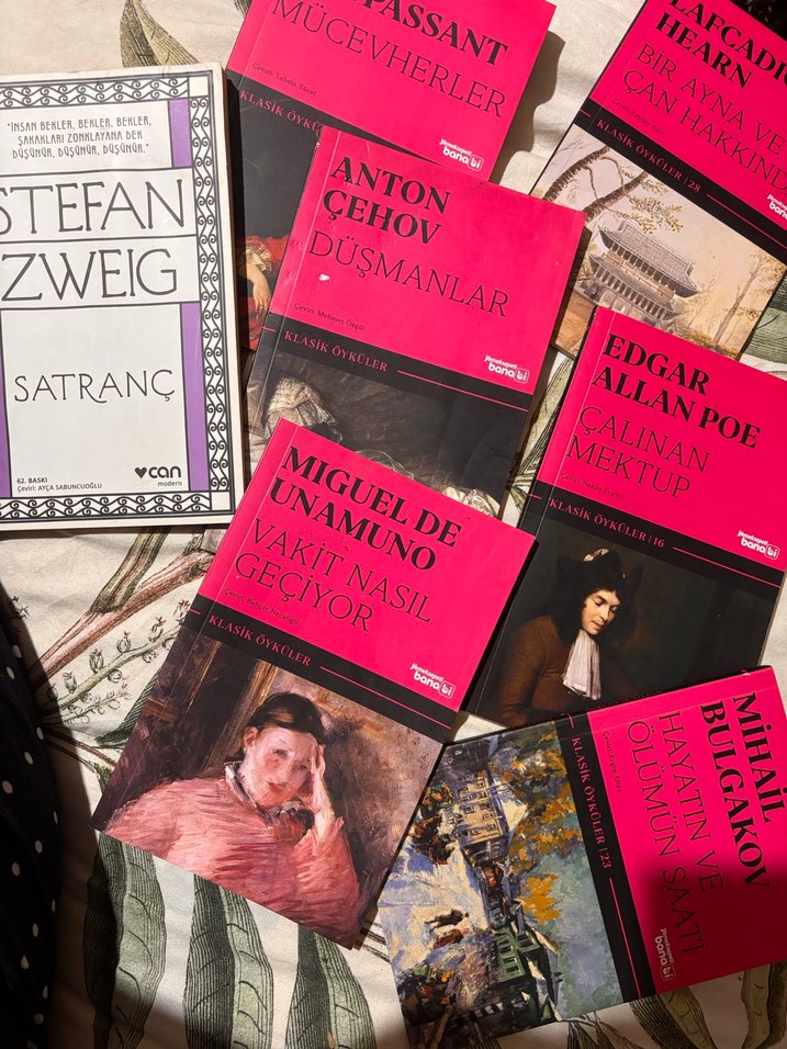 Klasik Yabancı Edebiyat Kitapları Seti 7 adet - Görsel 2