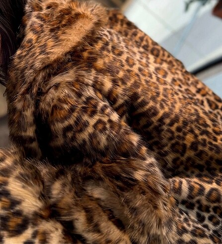 Leopar Kürk - Görsel 2