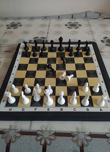  Beden Satranç takımı 