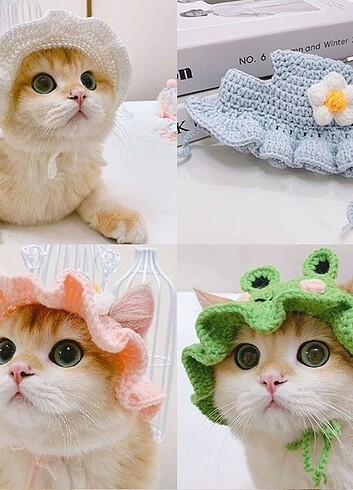  Beden çeşitli Renk Kedi bucket şapka 