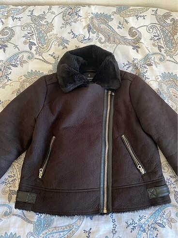 Stradivarius mont