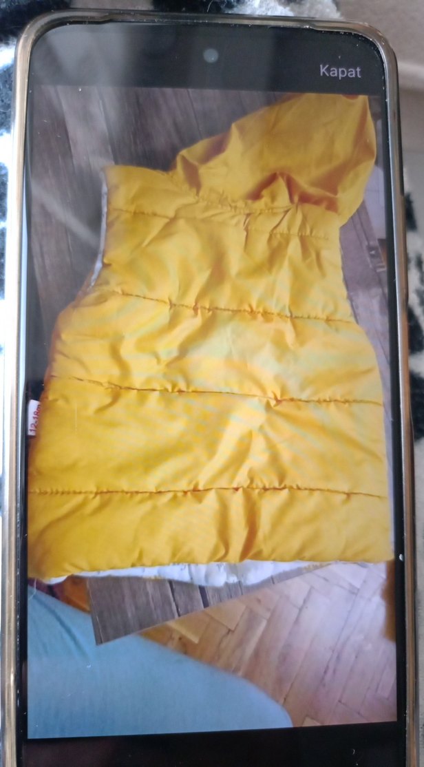 Kapüşonlu Sarı Erkek Çocuk Yeleği - Görsel 2