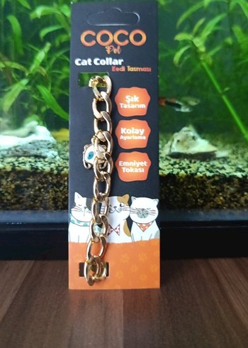 Altın Renk Zincir Tasma - Görsel 2