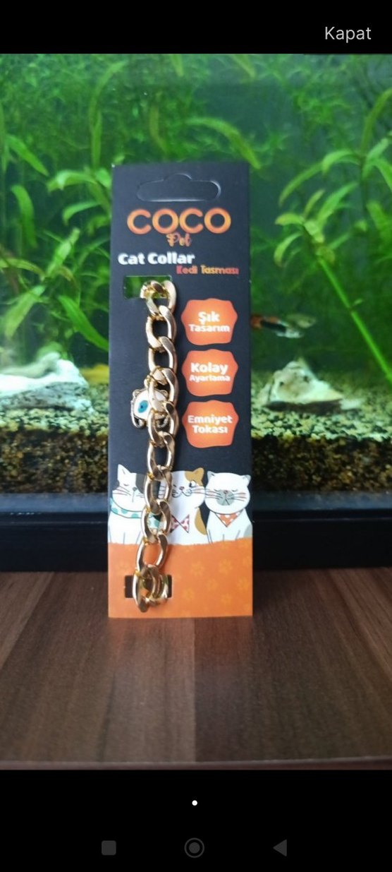 Altın Renk Zincir Tasma - Görsel 2