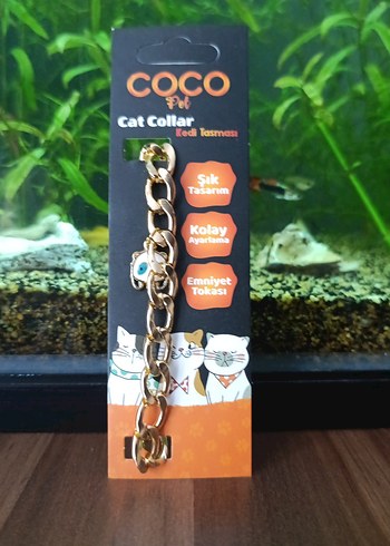 COCO Altın Renkli Kedi Tasması