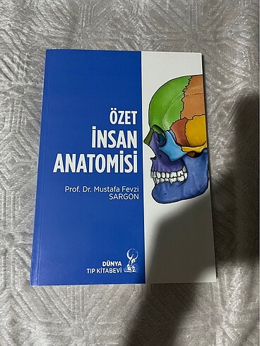 İnsan Anatomisi