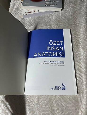  İnsan Anatomisi