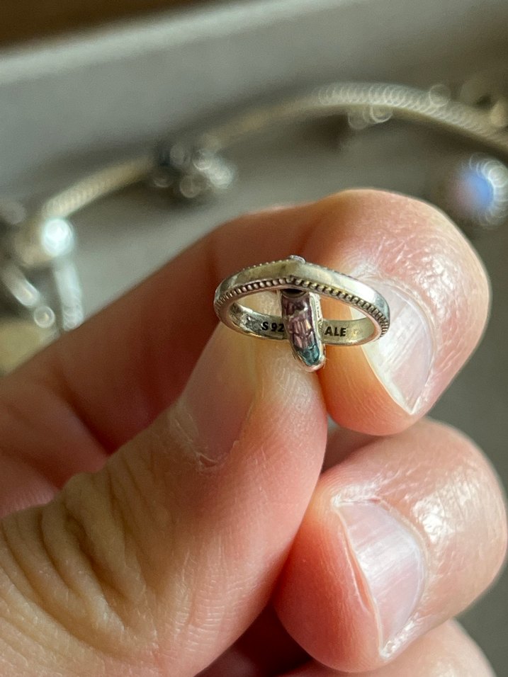 Dönen dünya kalp charm - Görsel 2