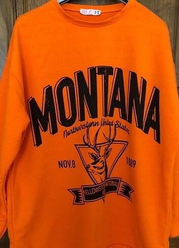 Sweatshirt 