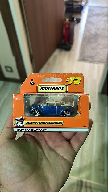matchbox beetle