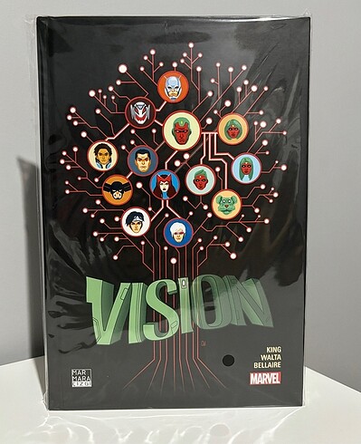 Vision Hardcover
