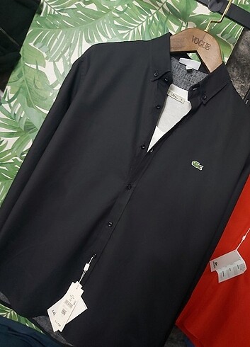 Lacoste Gömlek..YENİ KALİTELİ ÜRÜN 