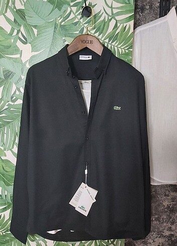 Lacoste Gömlek..YENİ KALİTELİ ÜRÜN 