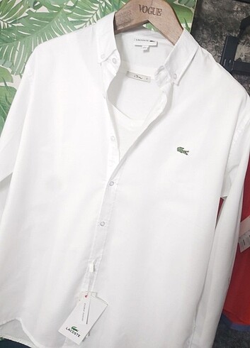 xl Beden beyaz Renk Lacoste Gömlek..10 adet xl Gömlek..YENİ ..FIRSAT ÜRÜNLERİ