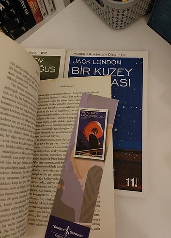 Altıncı koğuş bir kuzey macerası amok koşucusu