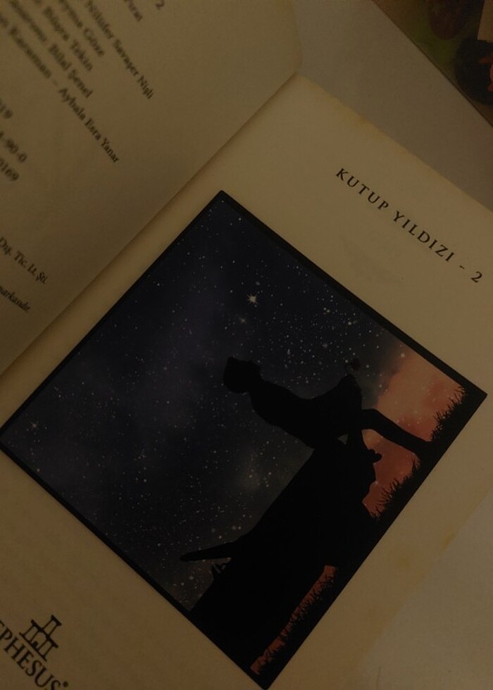 Kutup yıldızı 2 - Görsel 2