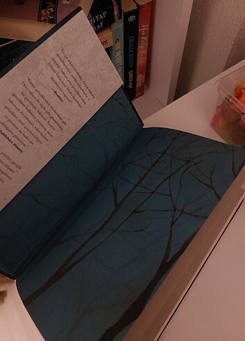 Bu bizim hikayemiz - Görsel 2