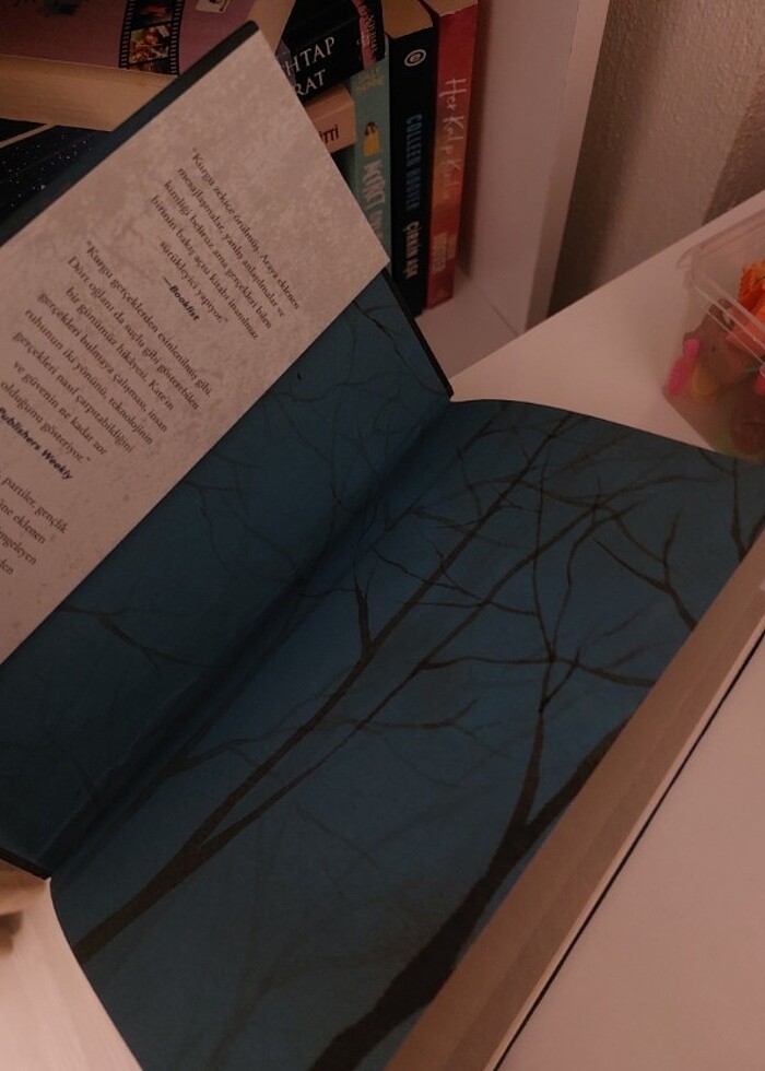 Bu bizim hikayemiz - Görsel 2