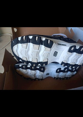 36 Beden SKECHERS DLITES