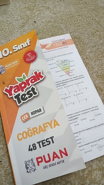 10. Sınıf coğrafya yaprak test 