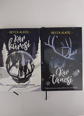 Beyza Alkoç'un romanları