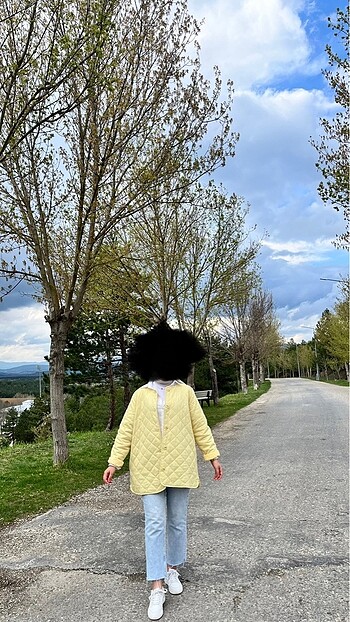 Ceket