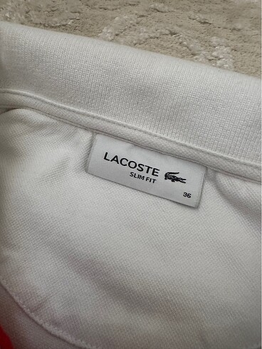 s Beden Lacoste tişört