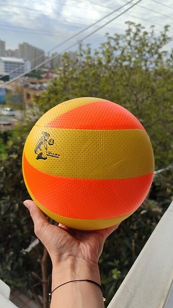 Diğer Voleybol topu