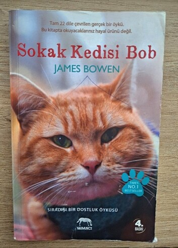 Sokak Kedisi Bob- James Bowen